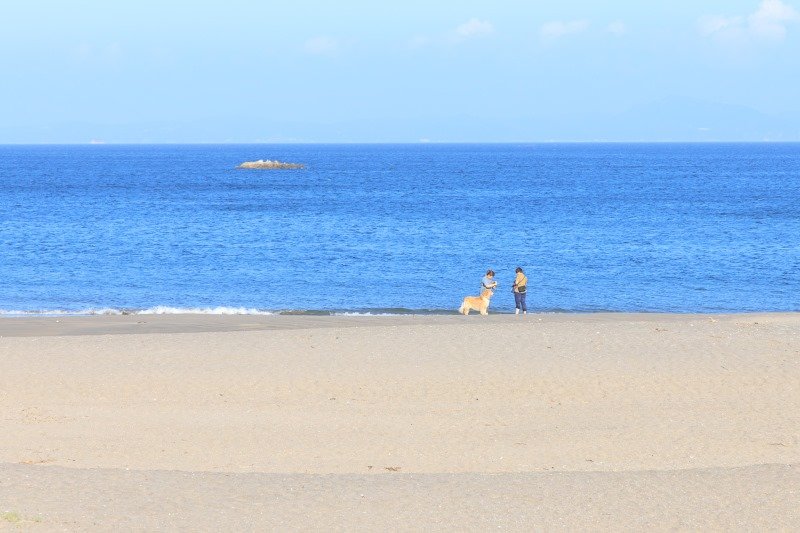 人も少なく、ゆったり過ごせる三浦海岸