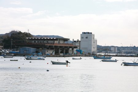 佐島漁港