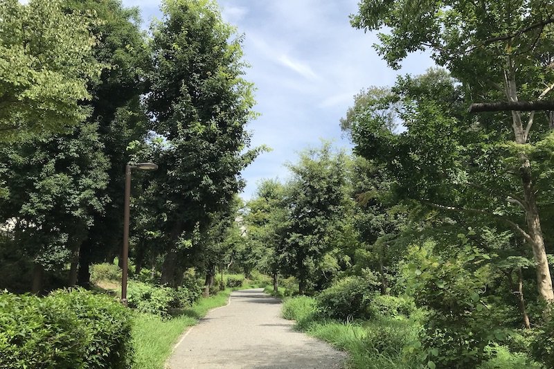 緑豊かな「茅ケ崎公園」