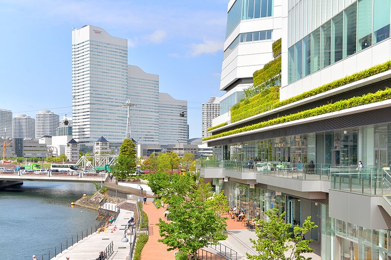 1階の水辺沿いにはカフェなどもある「横浜市役所」新庁舎にてお話をうかがいました！